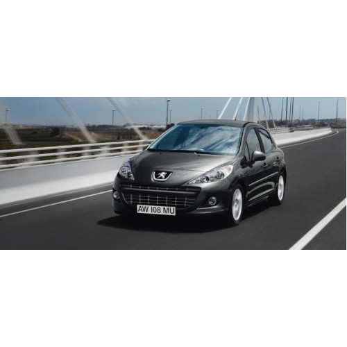 Peugeot 207 1.6 HDI 16V - 110CV Potenza (CV)  110>135 Coppia (Nm)  240>300