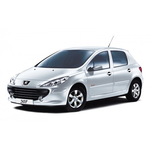 Peugeot 307 1.4 HDI - 68CV Potenza (CV)  68>90 Coppia (Nm)  160>200