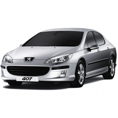 Peugeot 407 2.0 HDI - 136CV Potenza (CV)  136>161 Coppia (Nm)  320>380