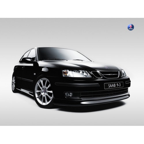 Saab 42438 1.9 TTiD - 180CV Potenza (CV)  180>206 Coppia (Nm)  400>476