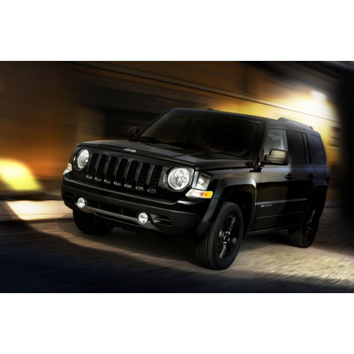 Jeep Patriot 2.2 CRD - 163 CV Potenza (CV)  163>200 Coppia (Nm)  320>450