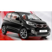 PICANTO (1)