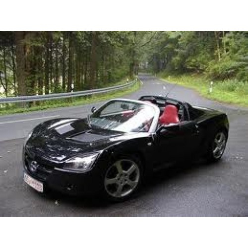 Opel SPEEDSTER 2.0 TURBO 16V - 200CV Potenza (CV)  200>235 Coppia (Nm)  250>295