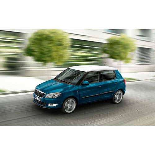 Skoda FABIA 1.2 TSI - 105CV Potenza (CV)  105>130 Coppia (Nm)  175>220