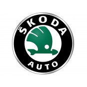 Skoda (23)