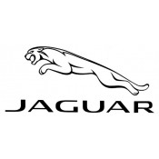 Jaguar (15)