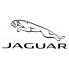 Jaguar (15)